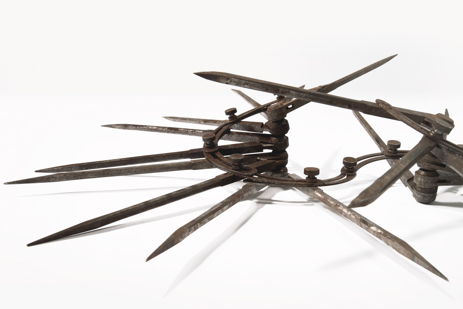 Cate Wind, Egoism, 2019