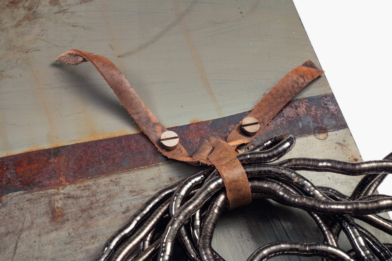 Cate Wind, Reiz, 2020