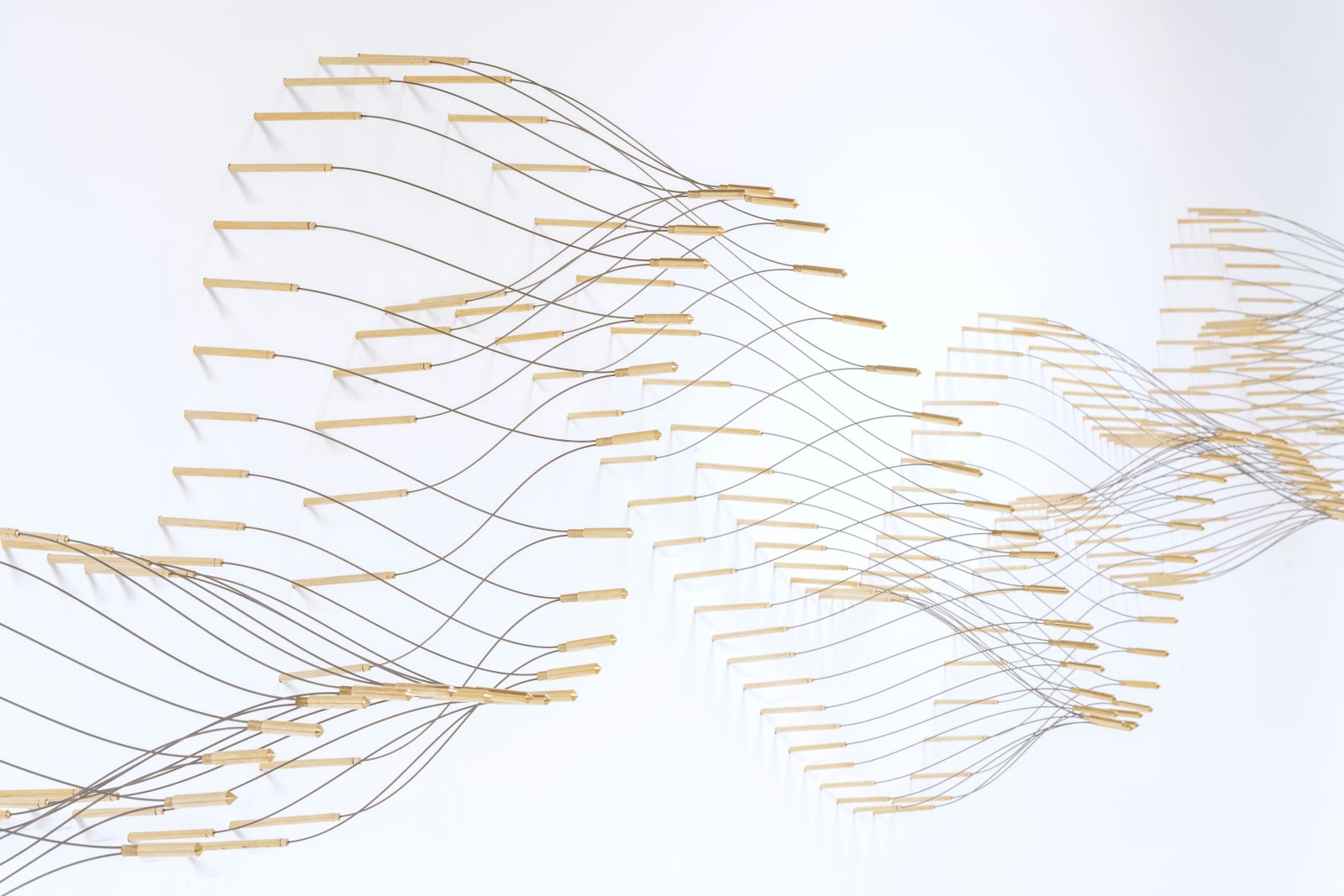Cate Wind, Waveform, 2023