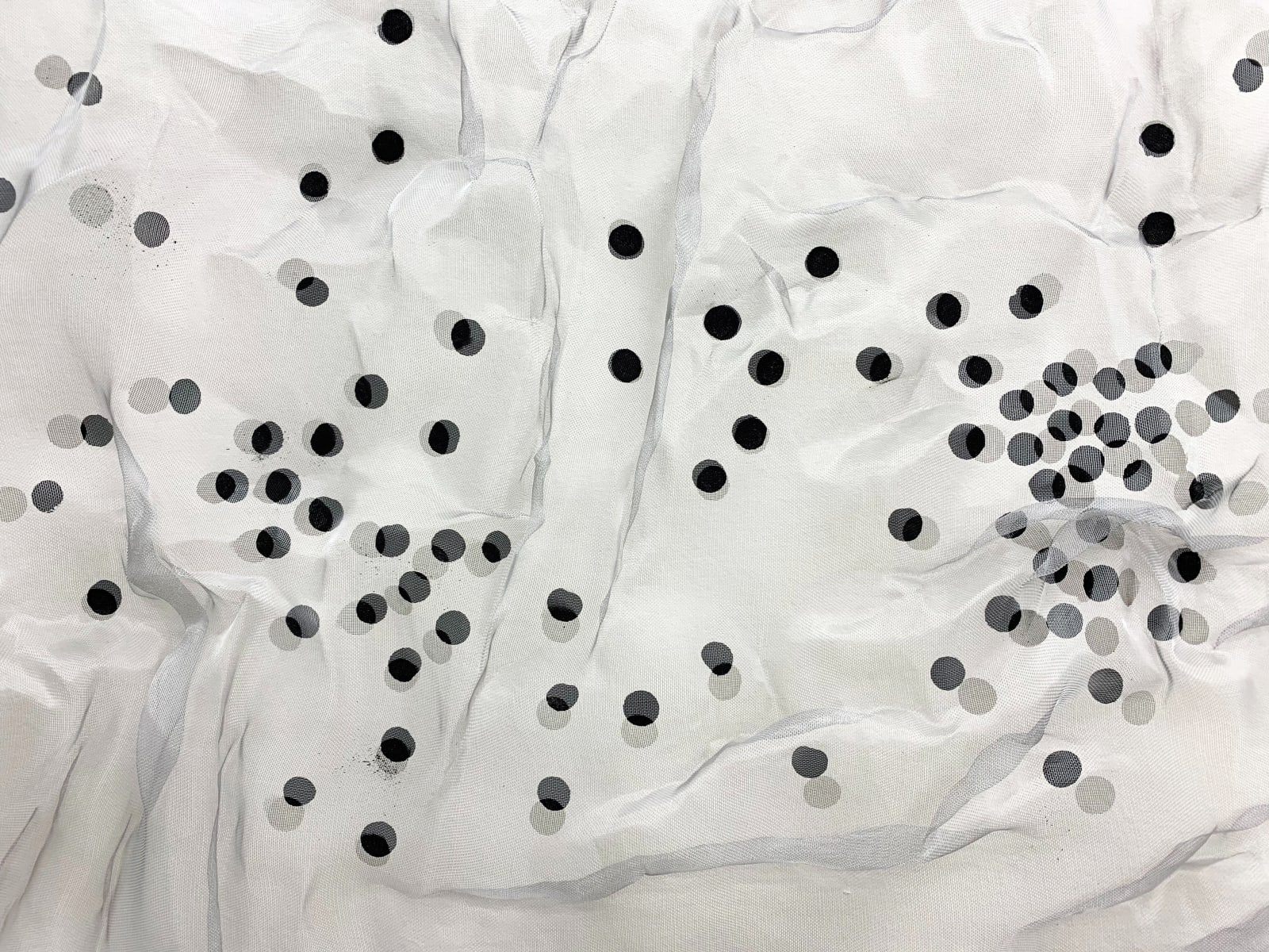 Cate Wind, Coherent Point, 2020