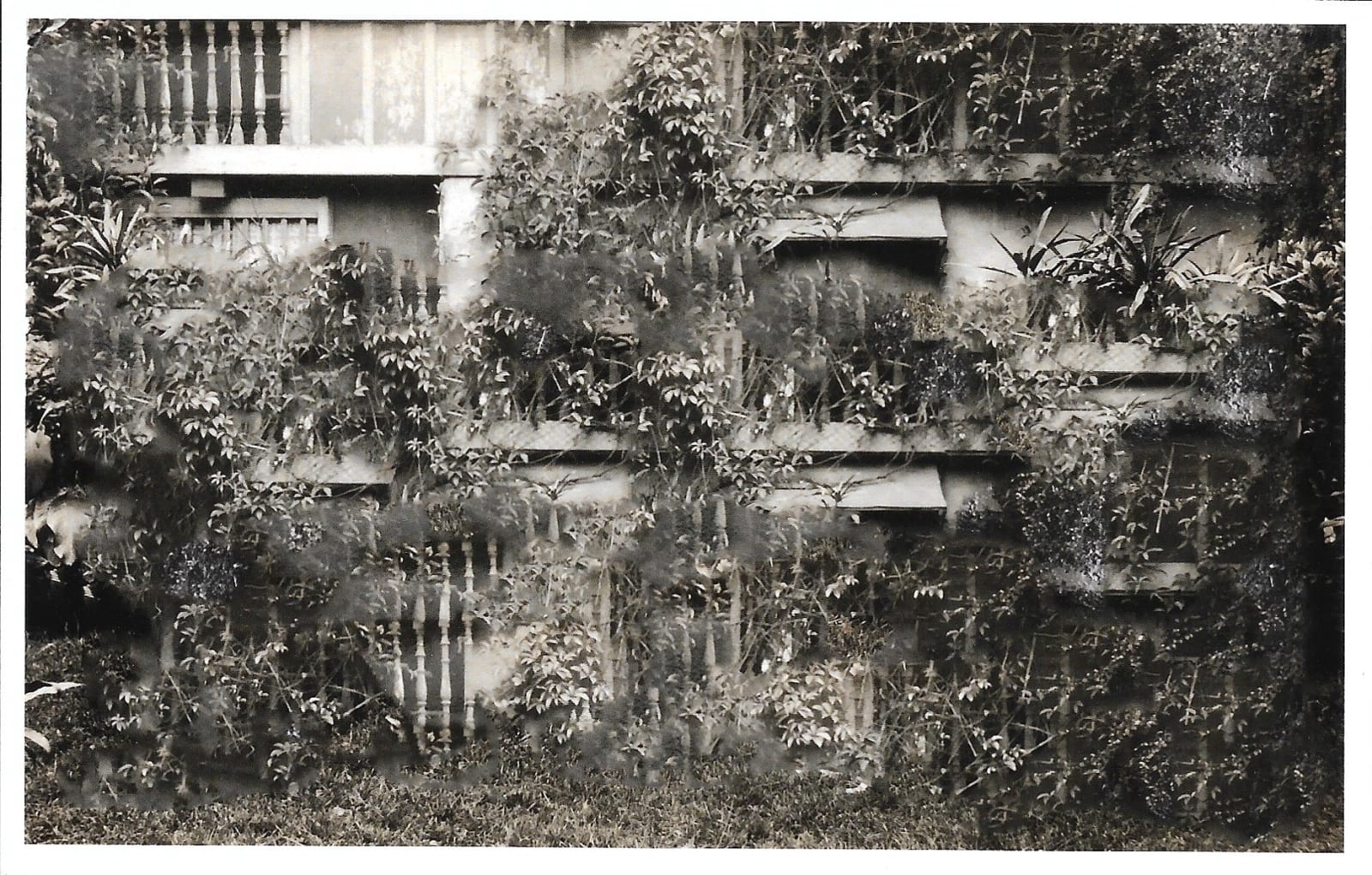 Stephanie Syjuco, Blind Spot (Artifact 051), 2024