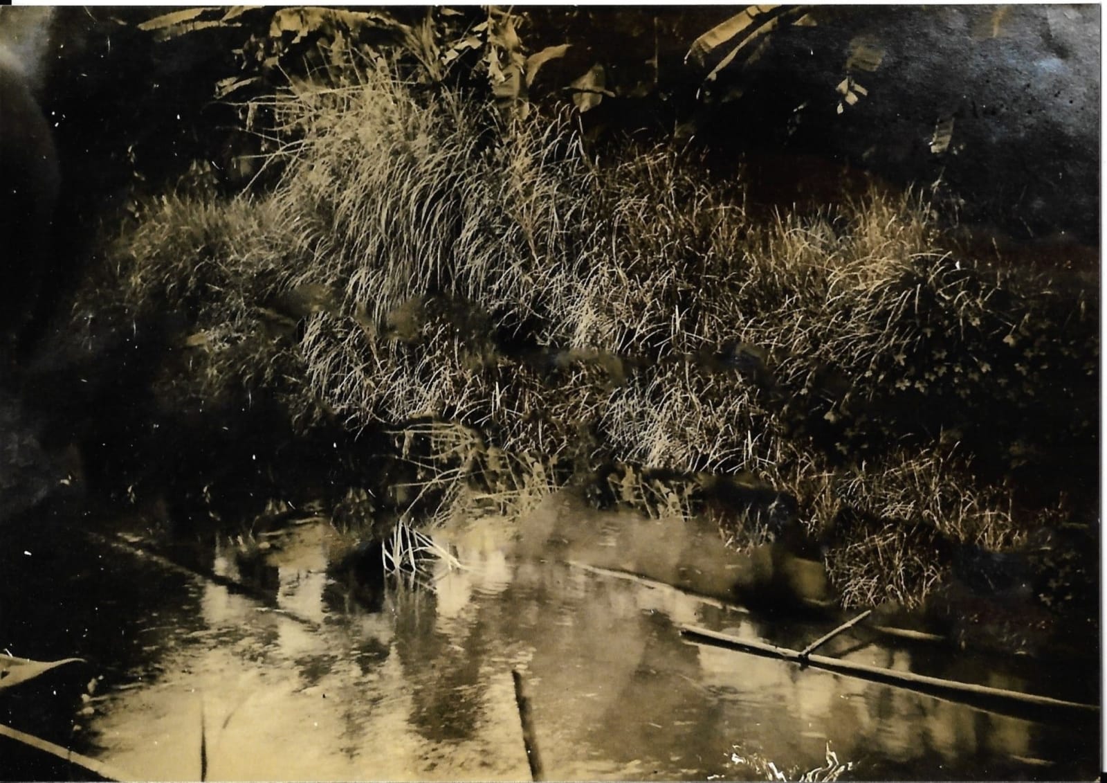 Stephanie Syjuco, Blind Spot (Artifact 055), 2024