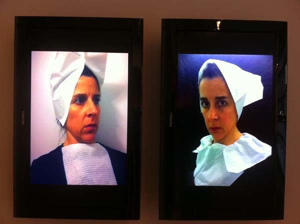 Nina Katchadourian, Acca Dacca Diptych, 2011