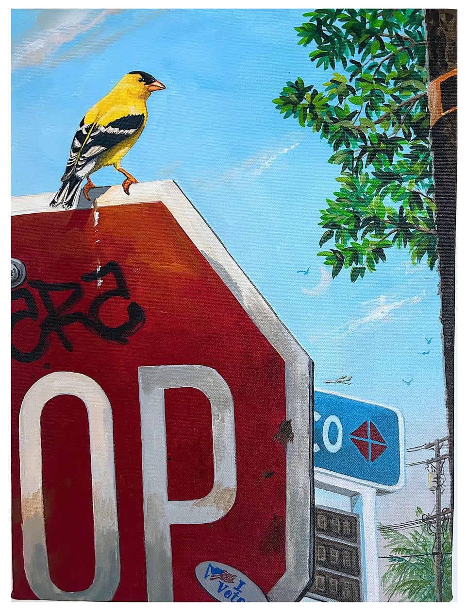 Sandow Birk, American Goldfinch, 2025