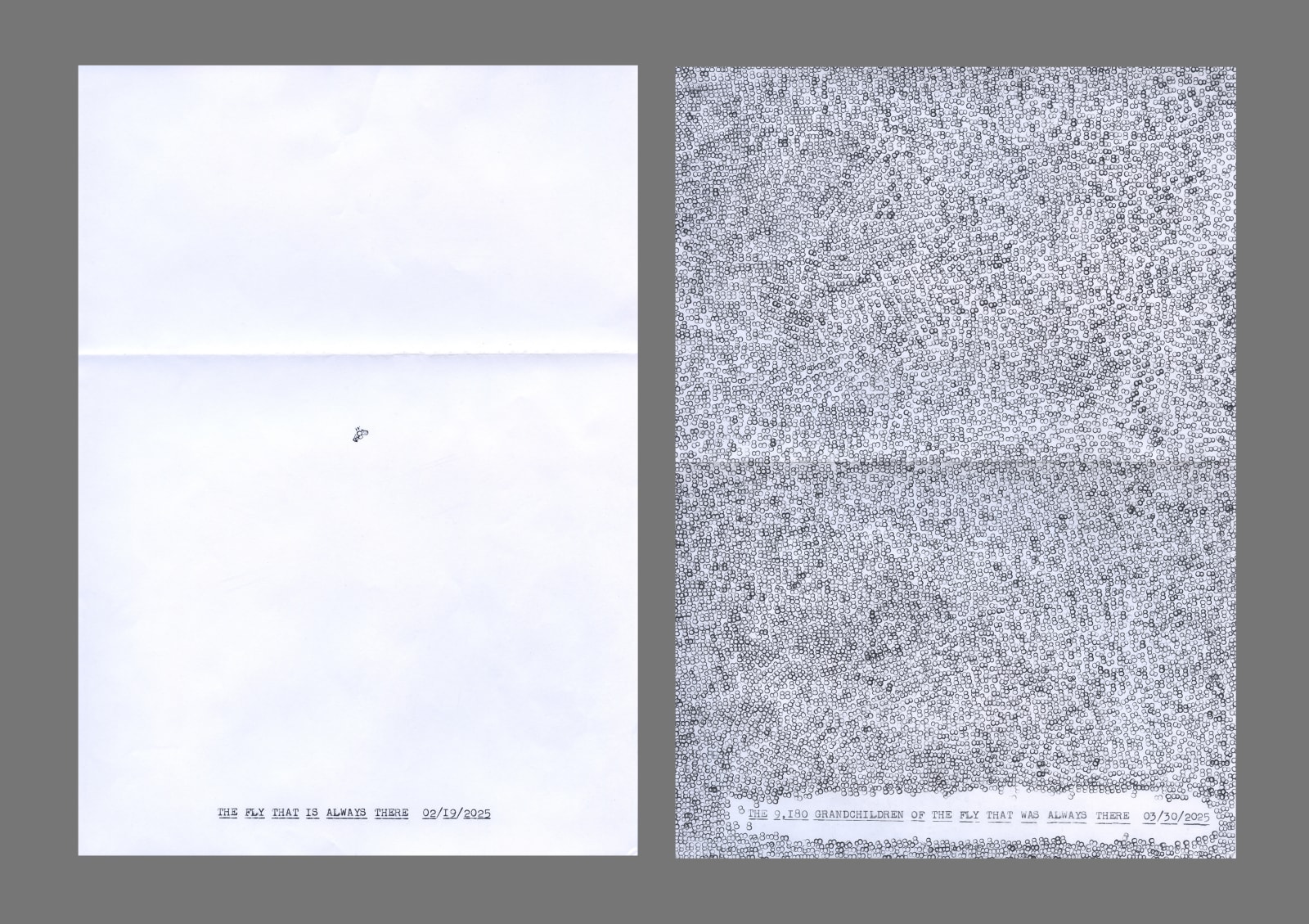 Lenka Clayton, Fruit Fly Diptych in the series "Typewriter Drawings", 2025