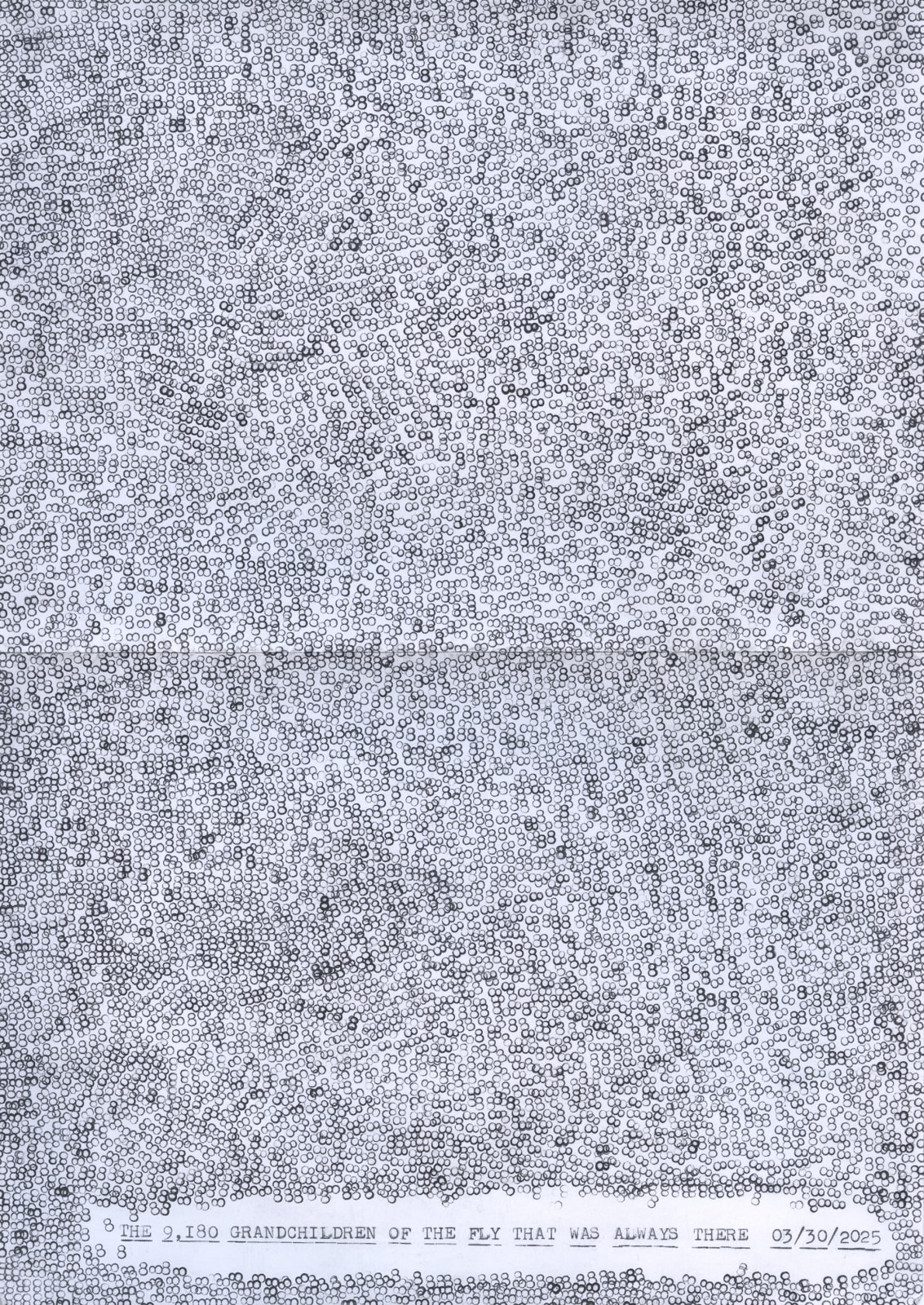 Lenka Clayton, Fruit Fly Diptych in the series "Typewriter Drawings", 2025