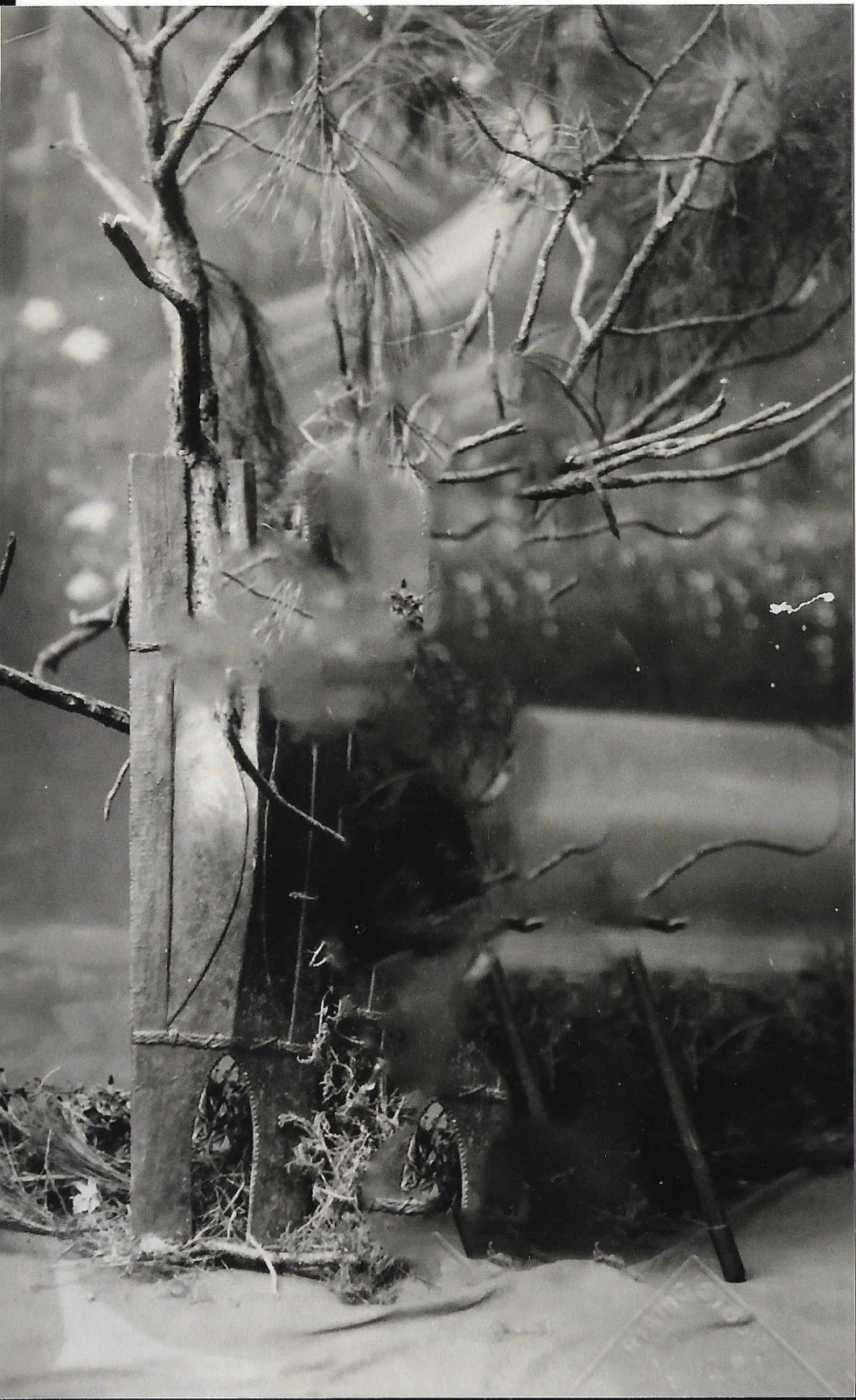 Stephanie Syjuco, Blind Spot (Artifact 058), 2024