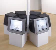 Nina Katchadourian, Fugitive ed. 1/3, 2007