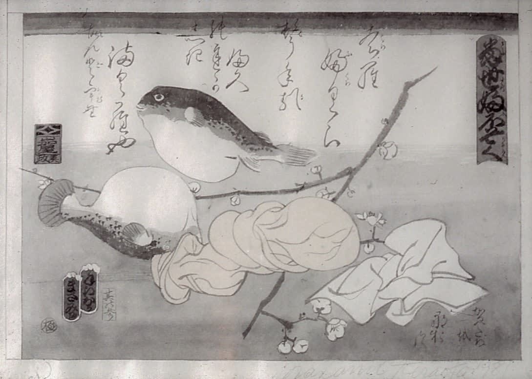 Masami Teraoka, Study for Tampon Series (Puffer Fish), 1981
