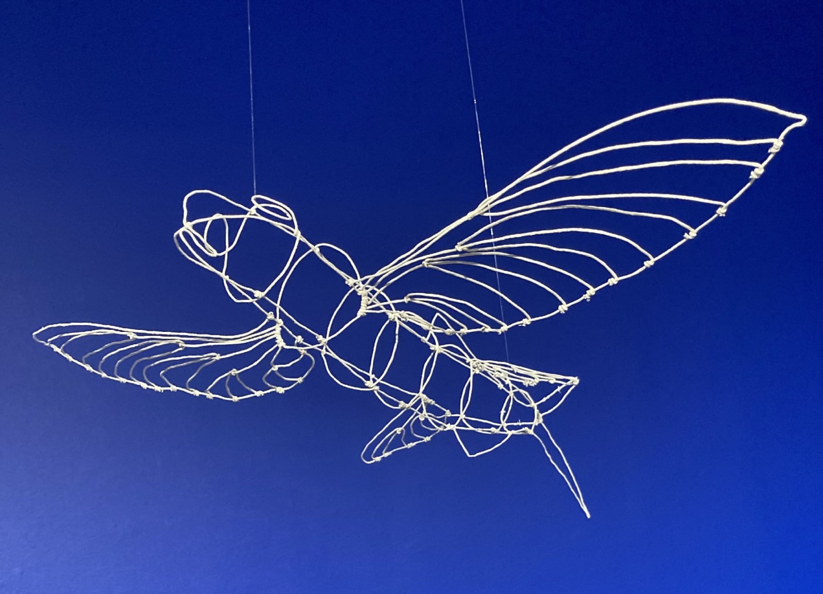 Nina Katchadourian, Flying Fish #1, 2020