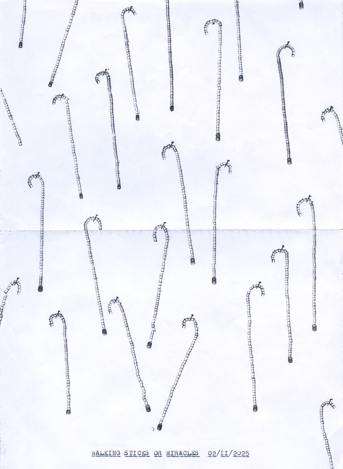 Lenka Clayton, Walking Sticks/Miracles in the series "Typewriter Drawings", 2025