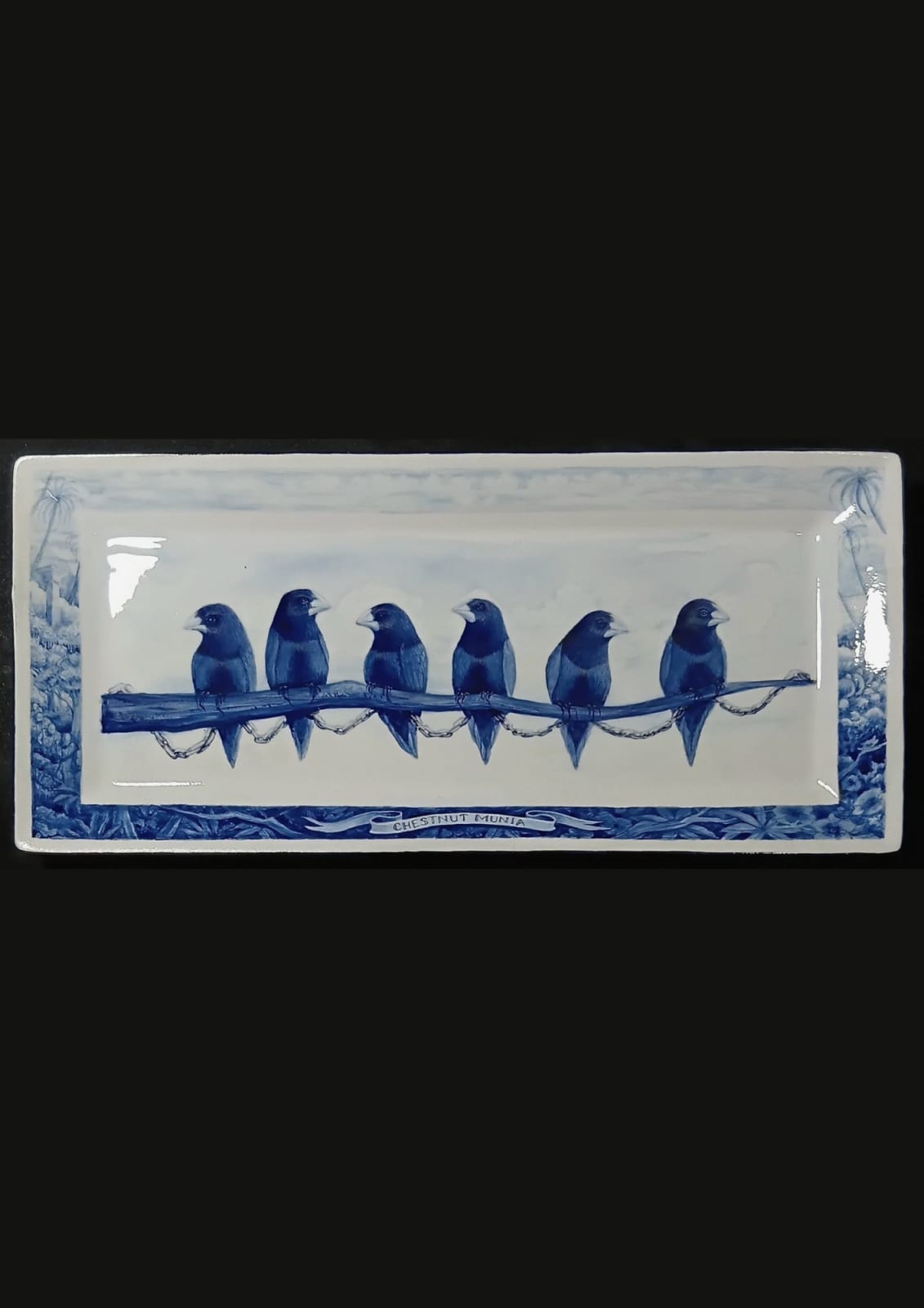 Gil Batle, Maya Chestnut Munia, 2025