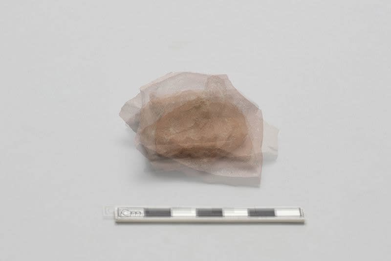 Stephanie Syjuco, Soft Body (Fragment), 2021