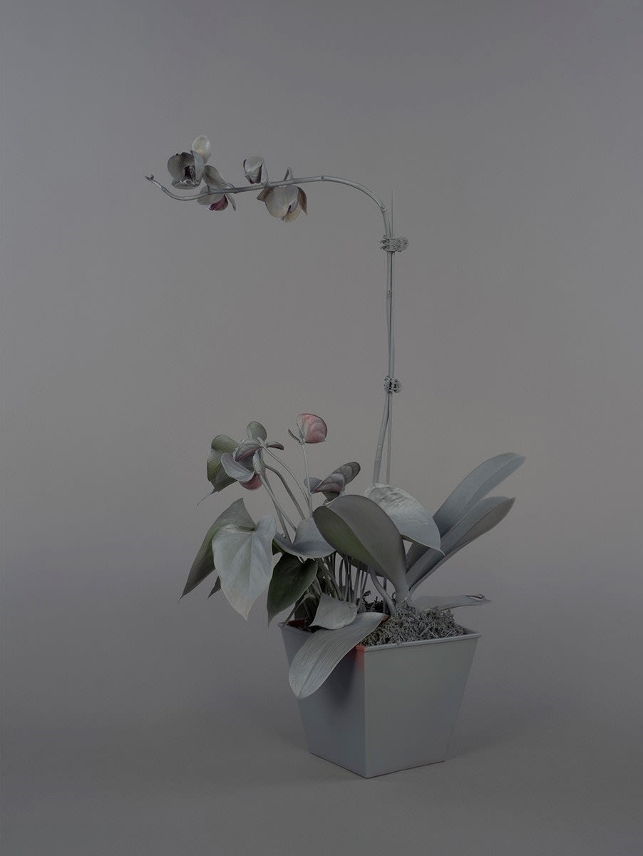 Stephanie Syjuco, Neutral Orchids (Dendrobium), 2016