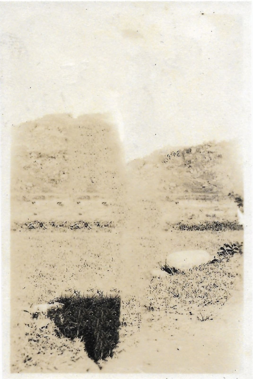 Stephanie Syjuco, Blind Spot (Artifact 065), 2024