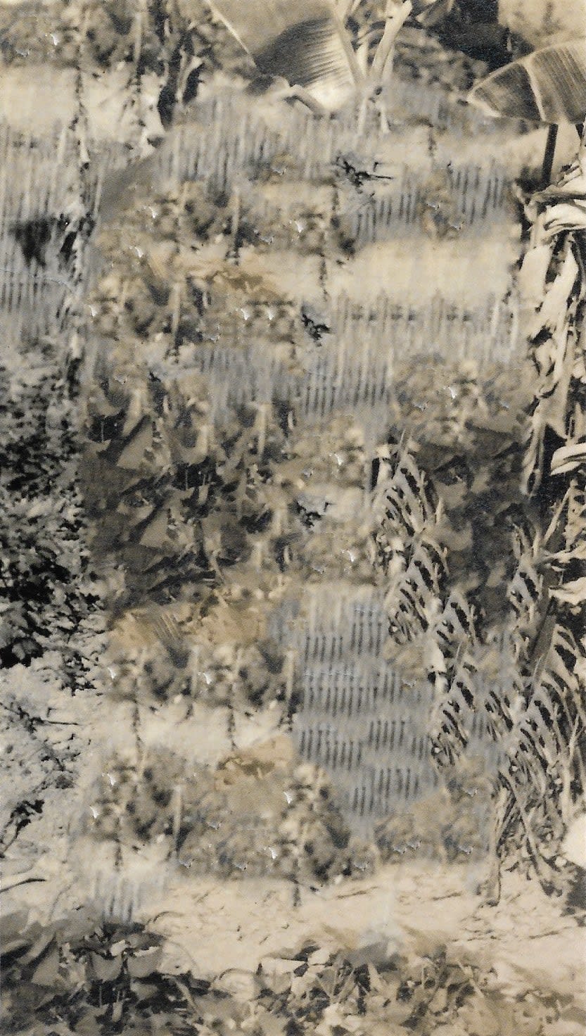 Stephanie Syjuco, Blind Spot (Artifact 072), 2024