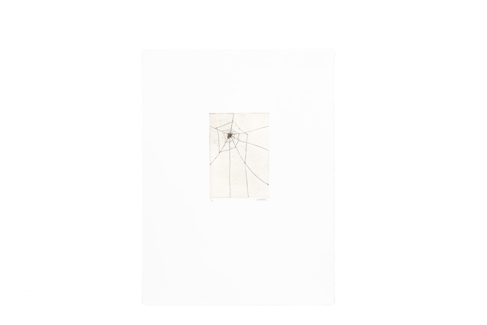 Erik Bender, Spiral Web, 2024