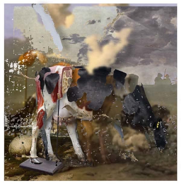 Deborah Oropallo, Milk Men, 2013