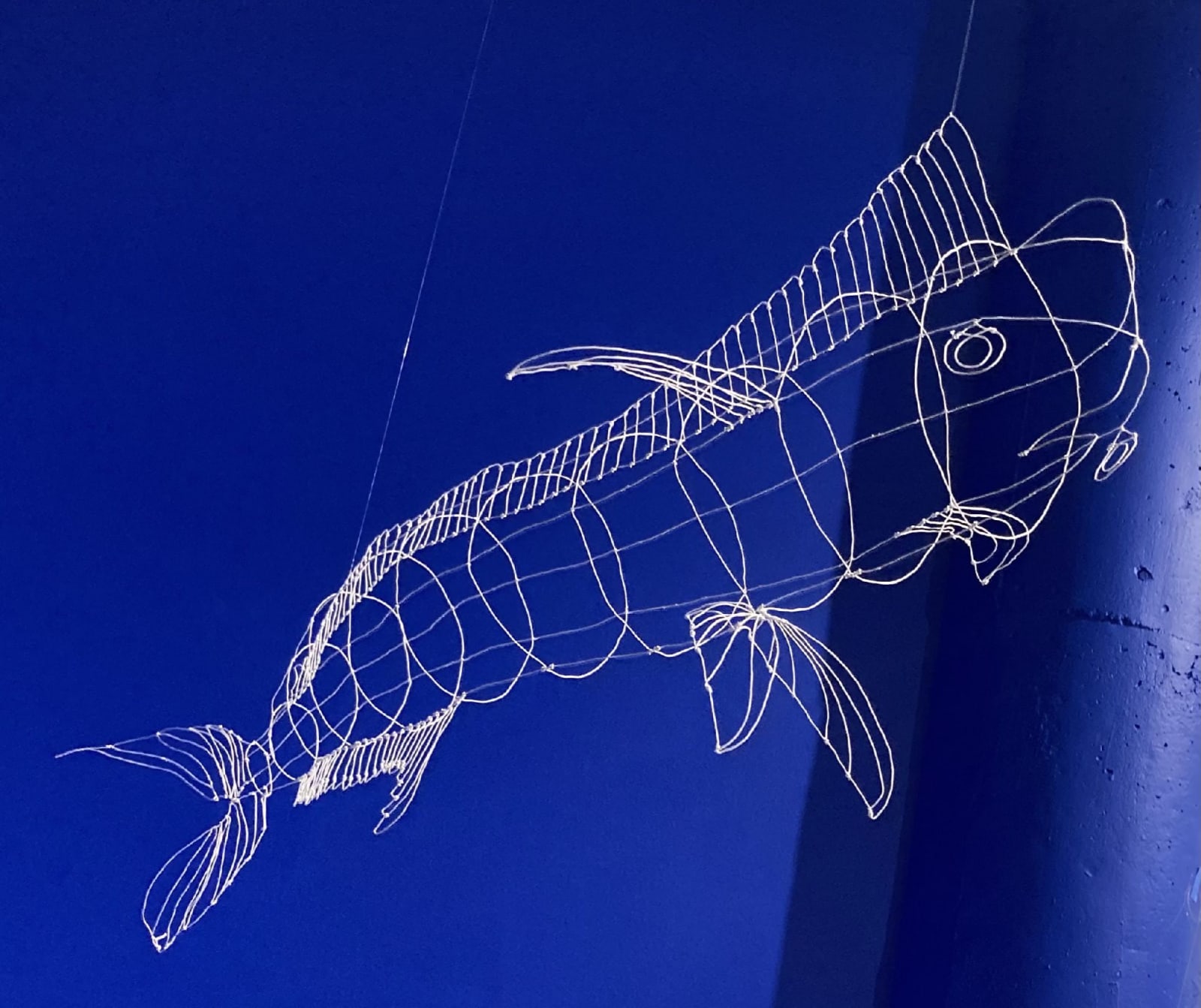 Nina Katchadourian, Male Dorado, 2020