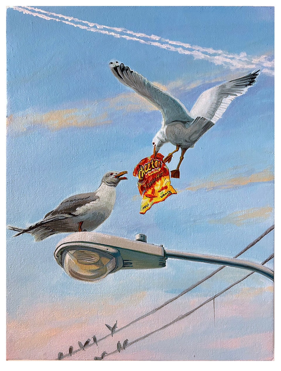 Sandow Birk, California Gull, 2025
