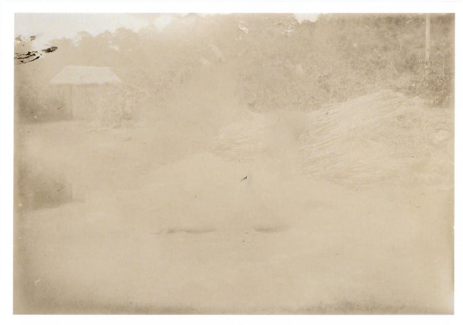 Stephanie Syjuco, Blind Spot (Artifact 095), 2024