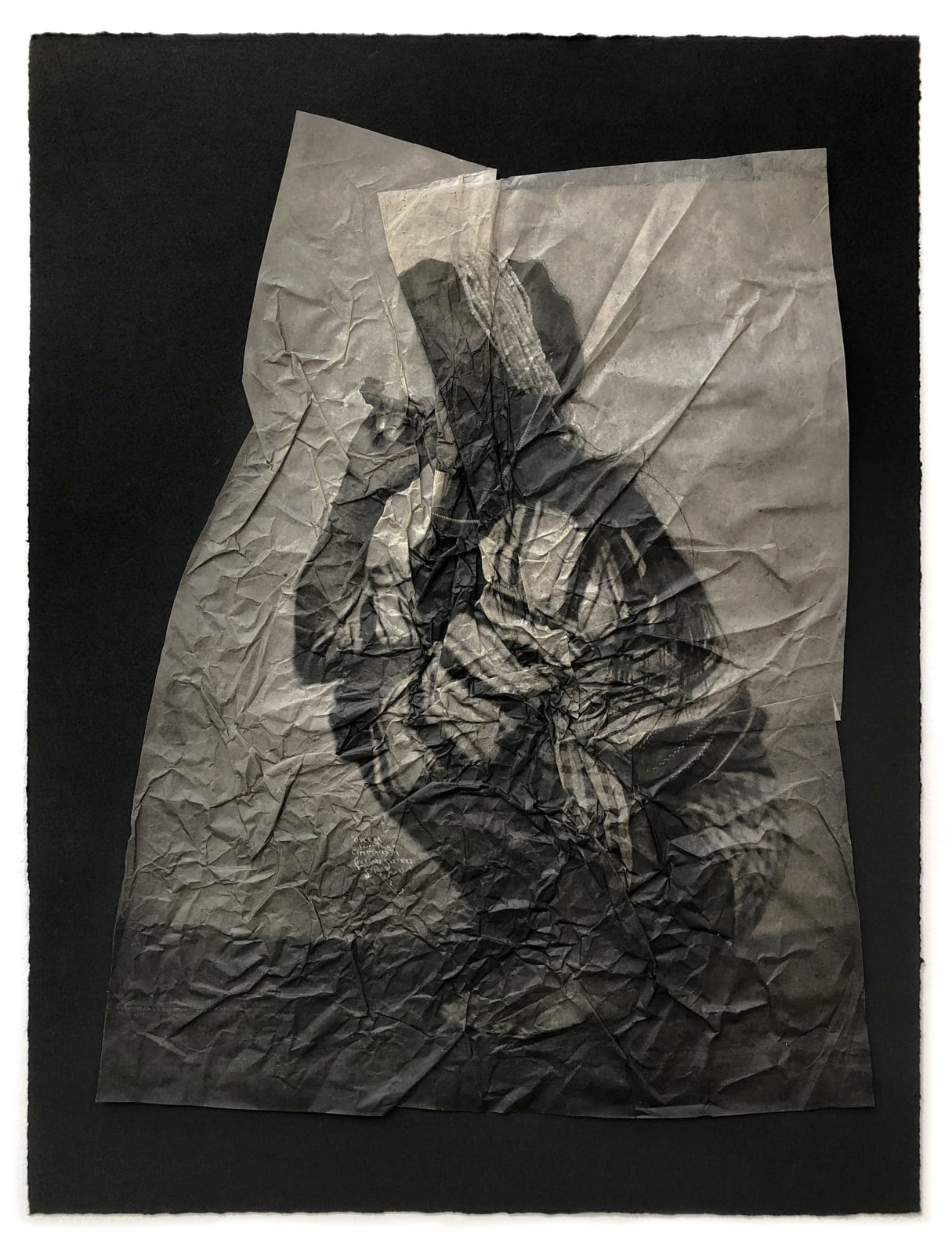 Stephanie Syjuco, Afterimages (Interruption of Vision), 2021