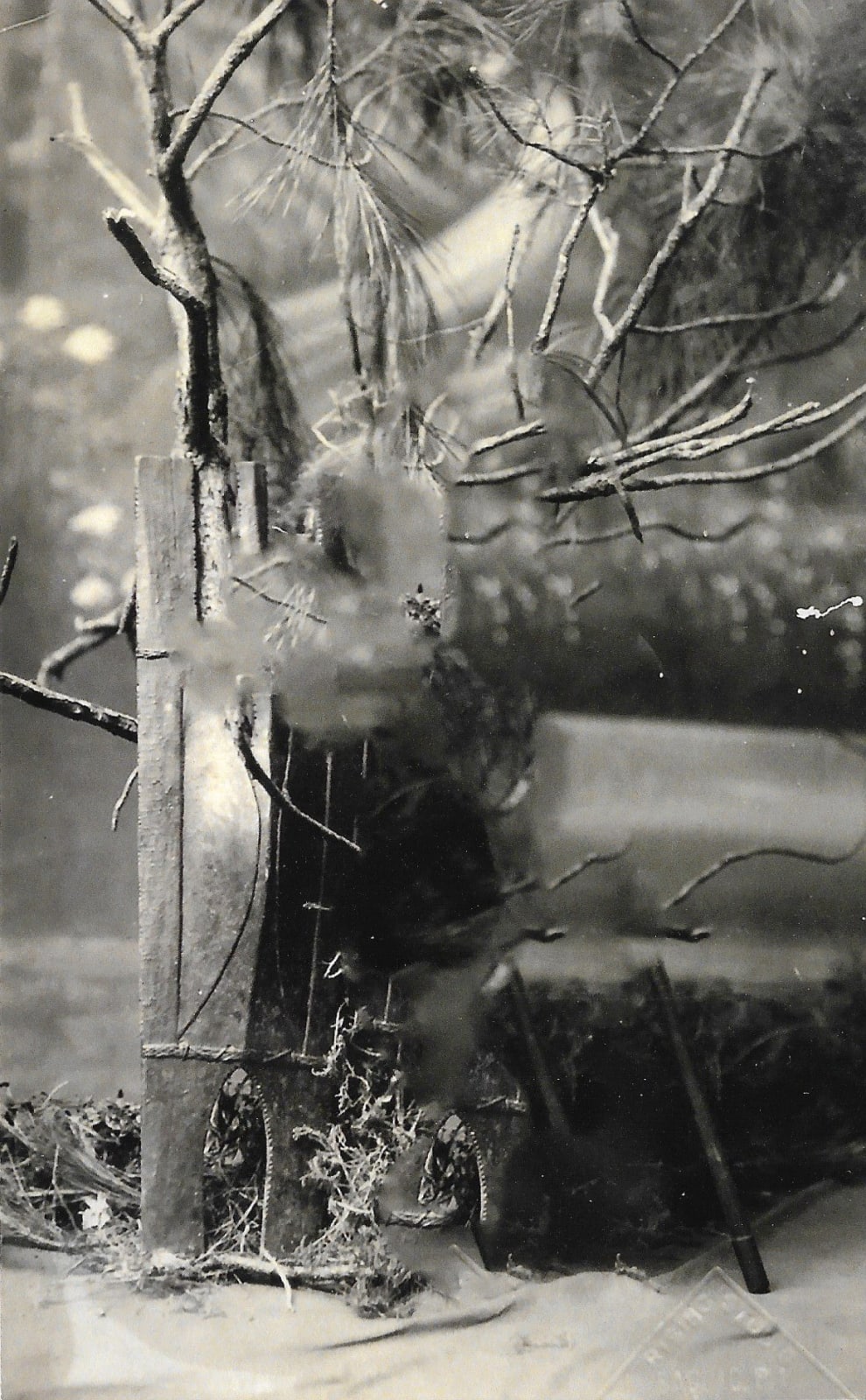 Stephanie Syjuco, Blind Spot (Artifact 061), 2024