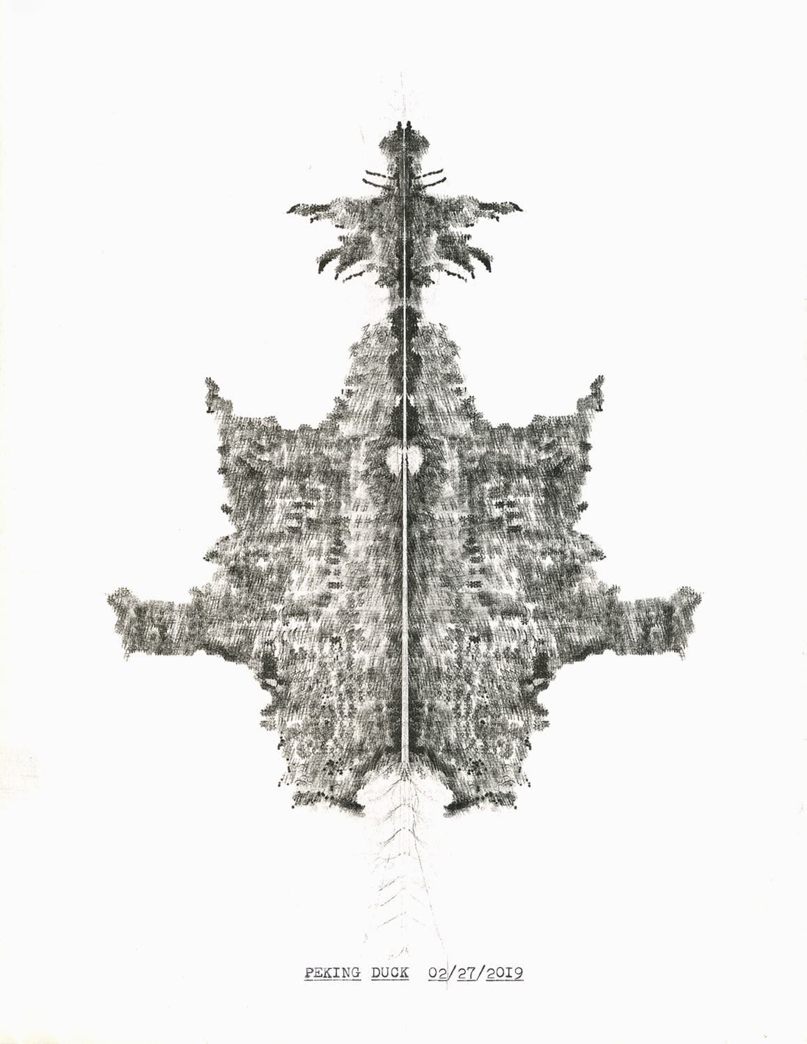 Lenka Clayton, Peking Duck 02/27/2019 In the series "Typewriter Drawings", 2019