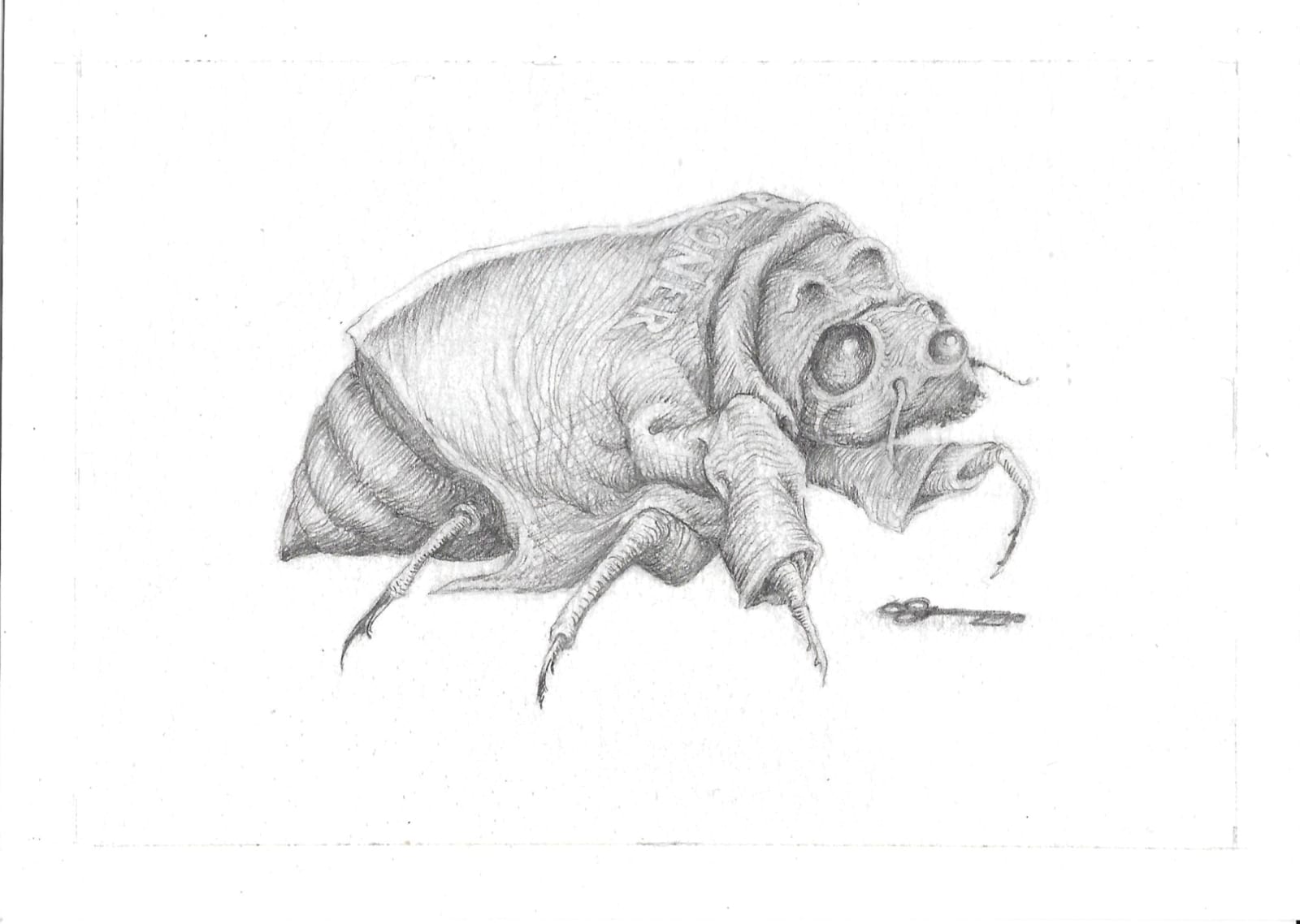 Gil Batle, Bug, 2023