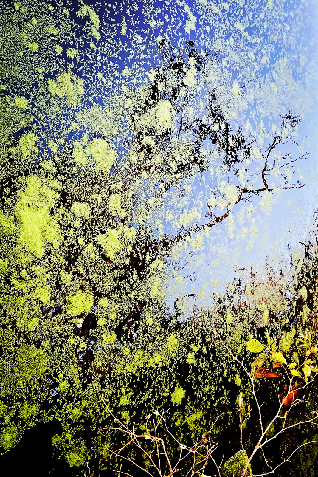 Reflection 2
