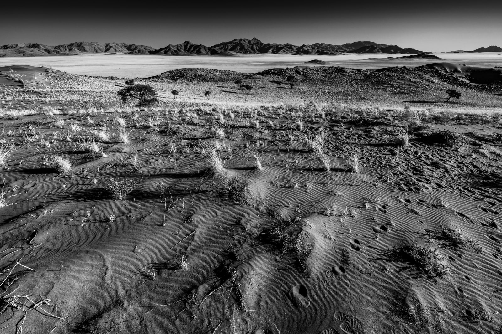 Namib 02,