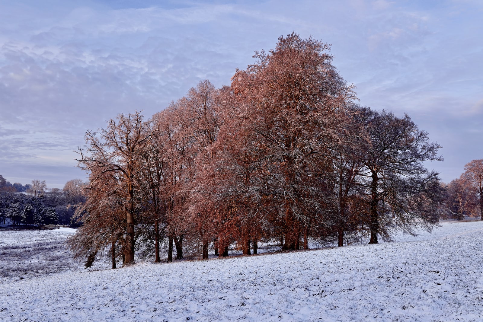 Wintering 3