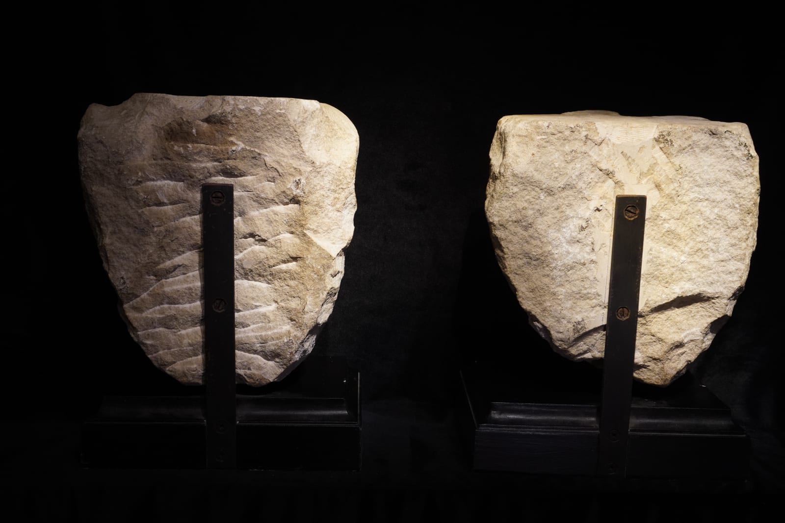 ARCHITECTURAL RELIEFS WITH CHIMERAS, Central Italy, 16th Century