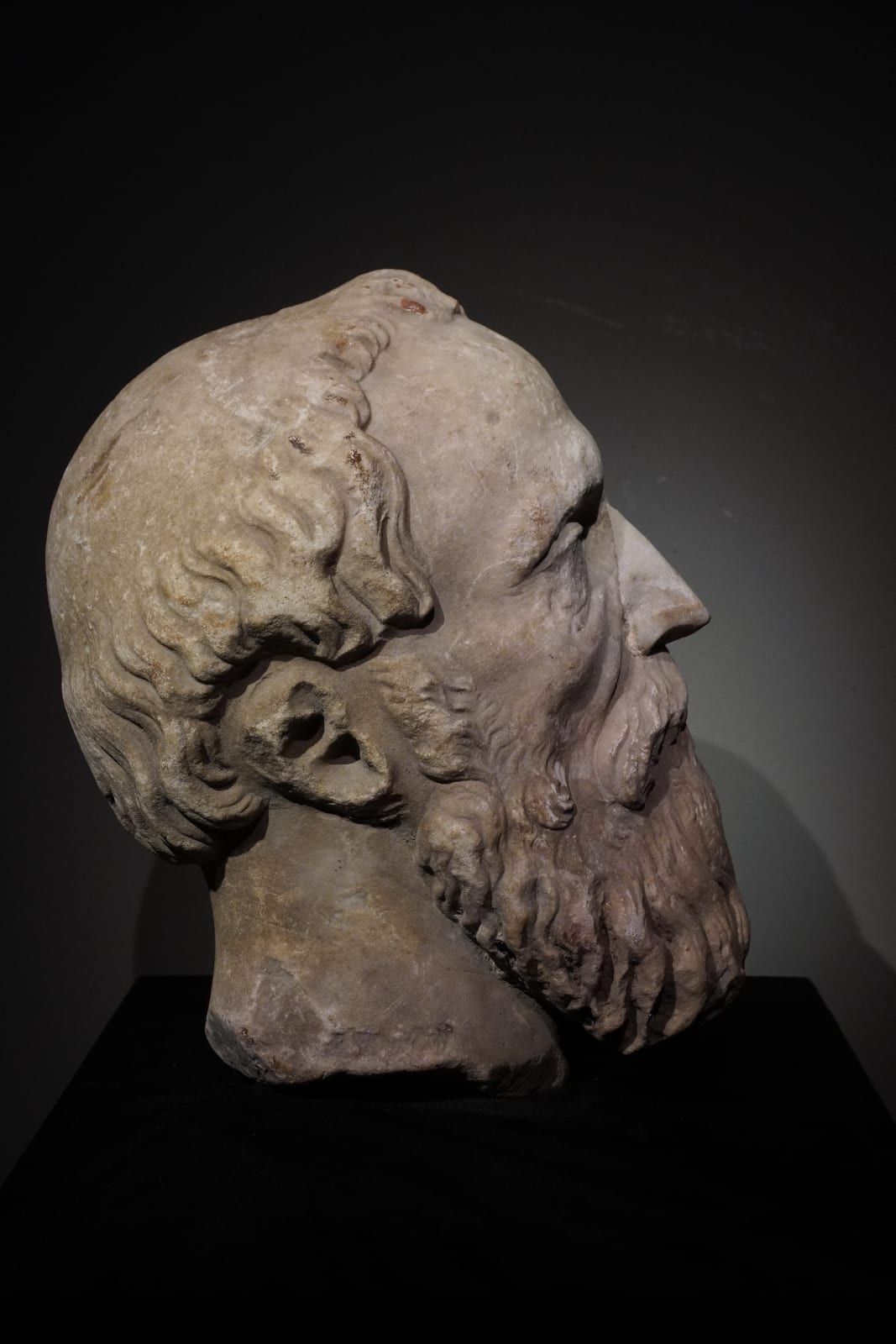 PORTRAIT HEAD OF BEARDED MAN, Central Italy, 16th/17th Century