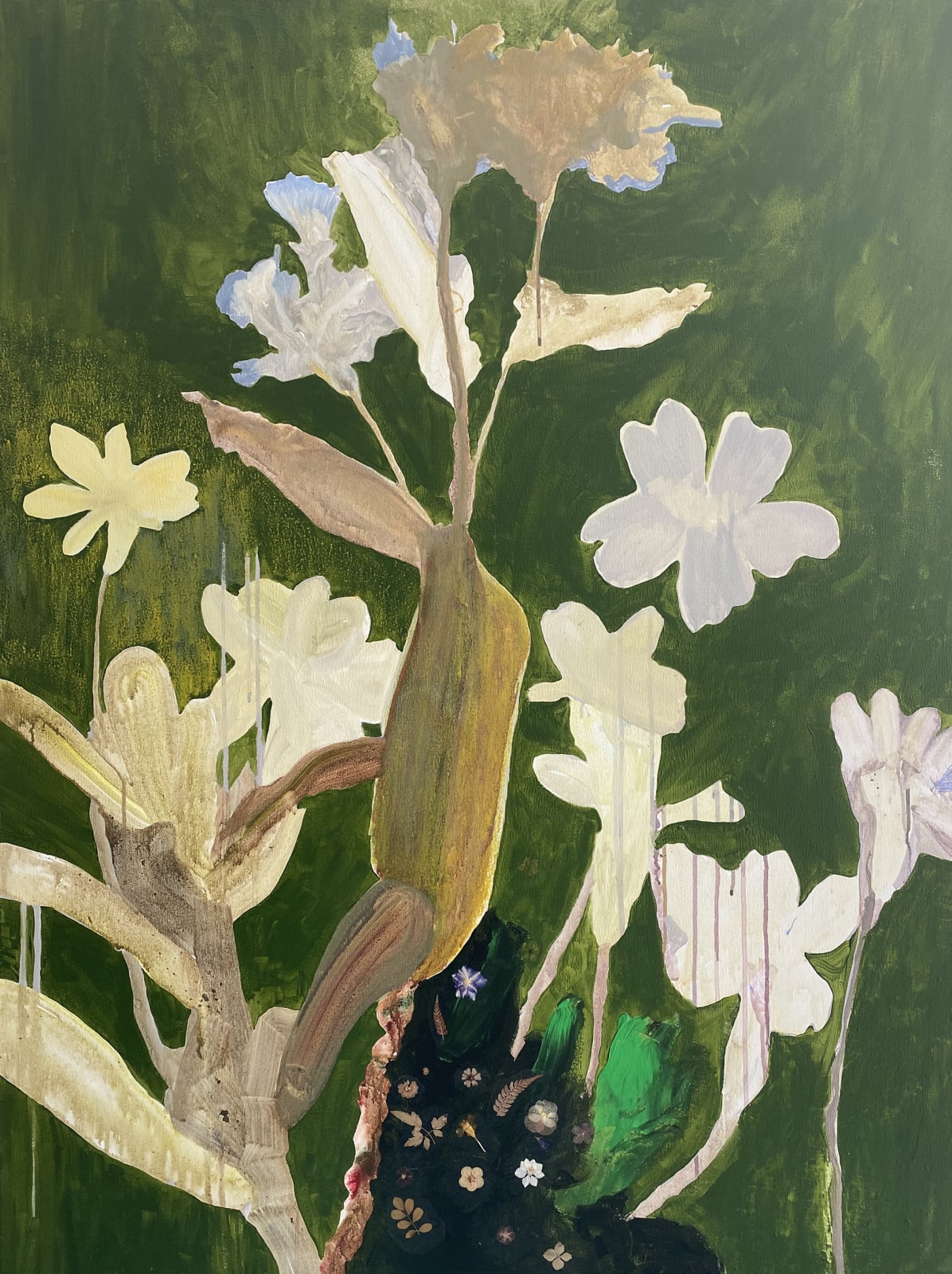 Helen Ballardie, Primroses, 2020