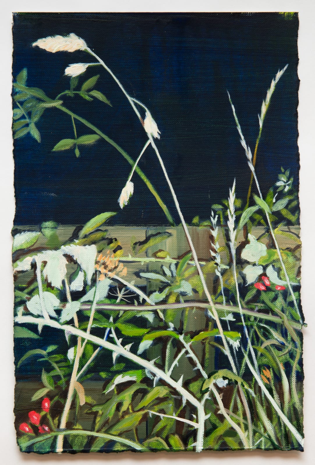 David Edmond, Flora A8, 2022