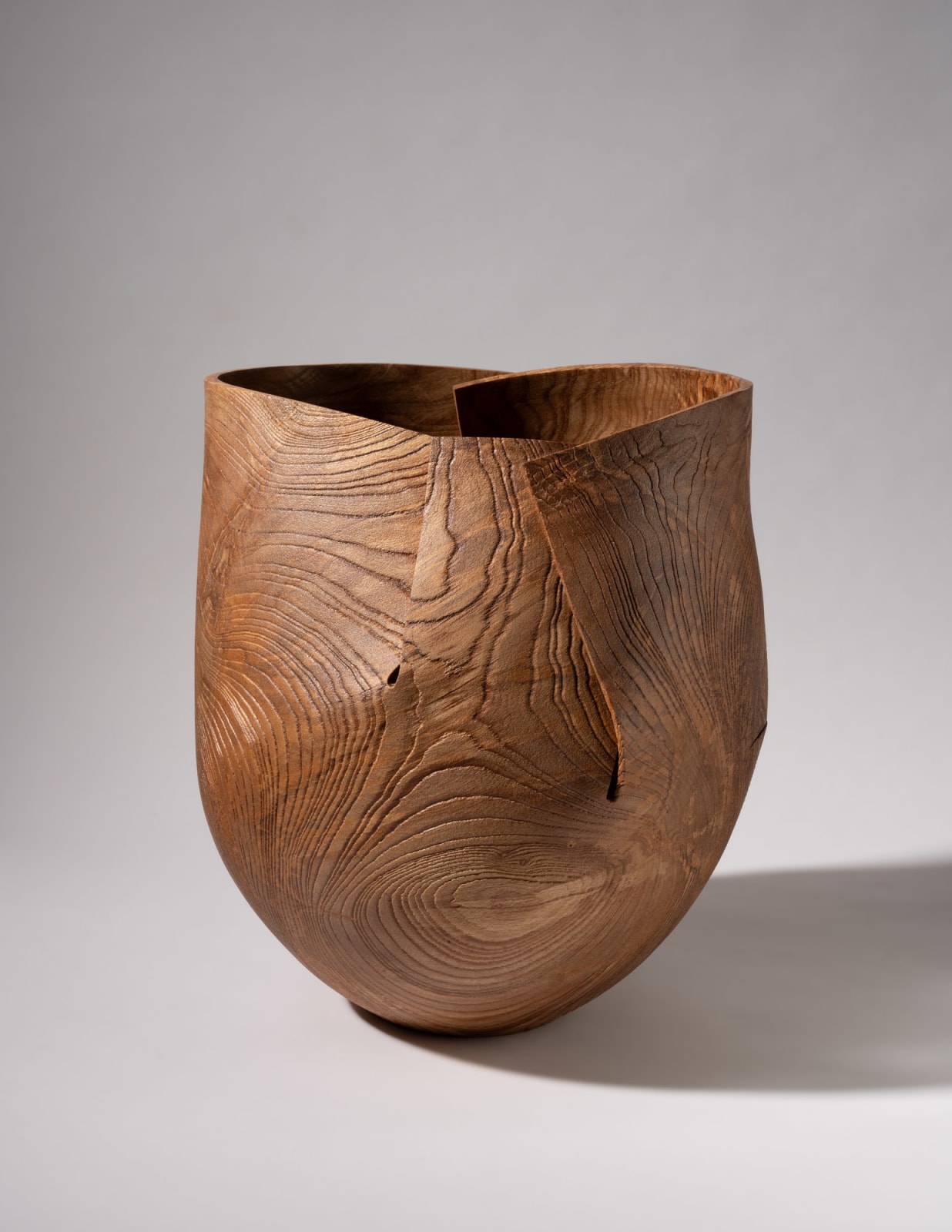 Alan Meredith, Fuinseog, 2025