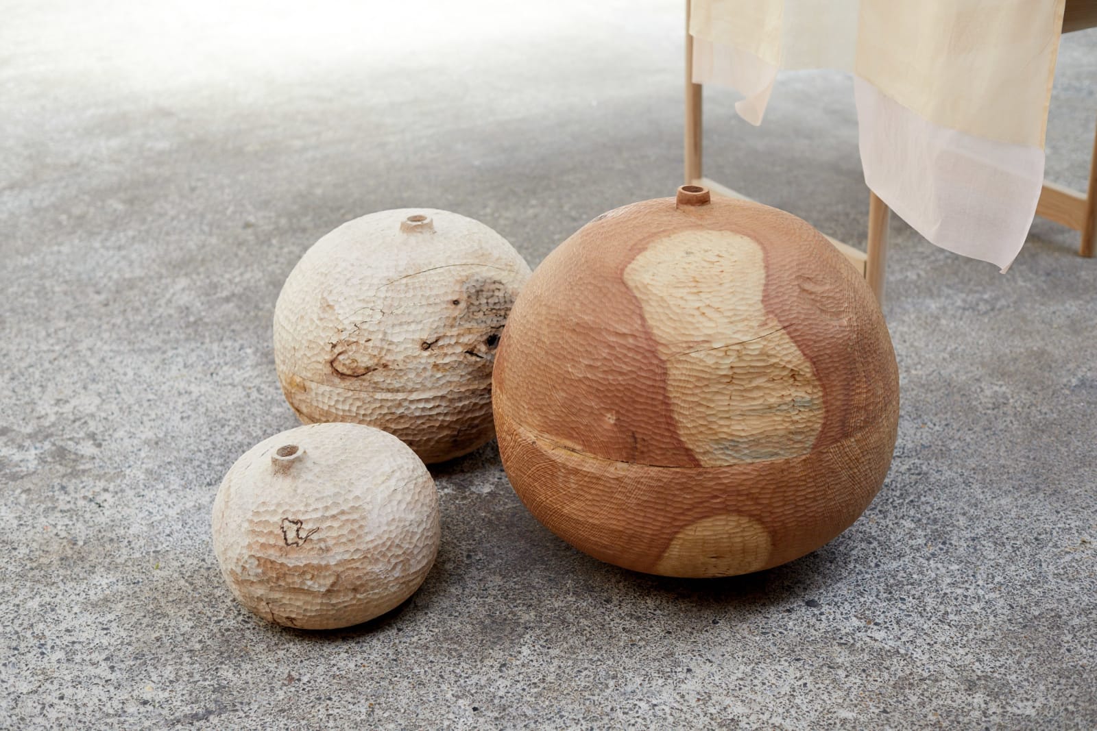 Robert George, Small Sycamore Boule, 2025