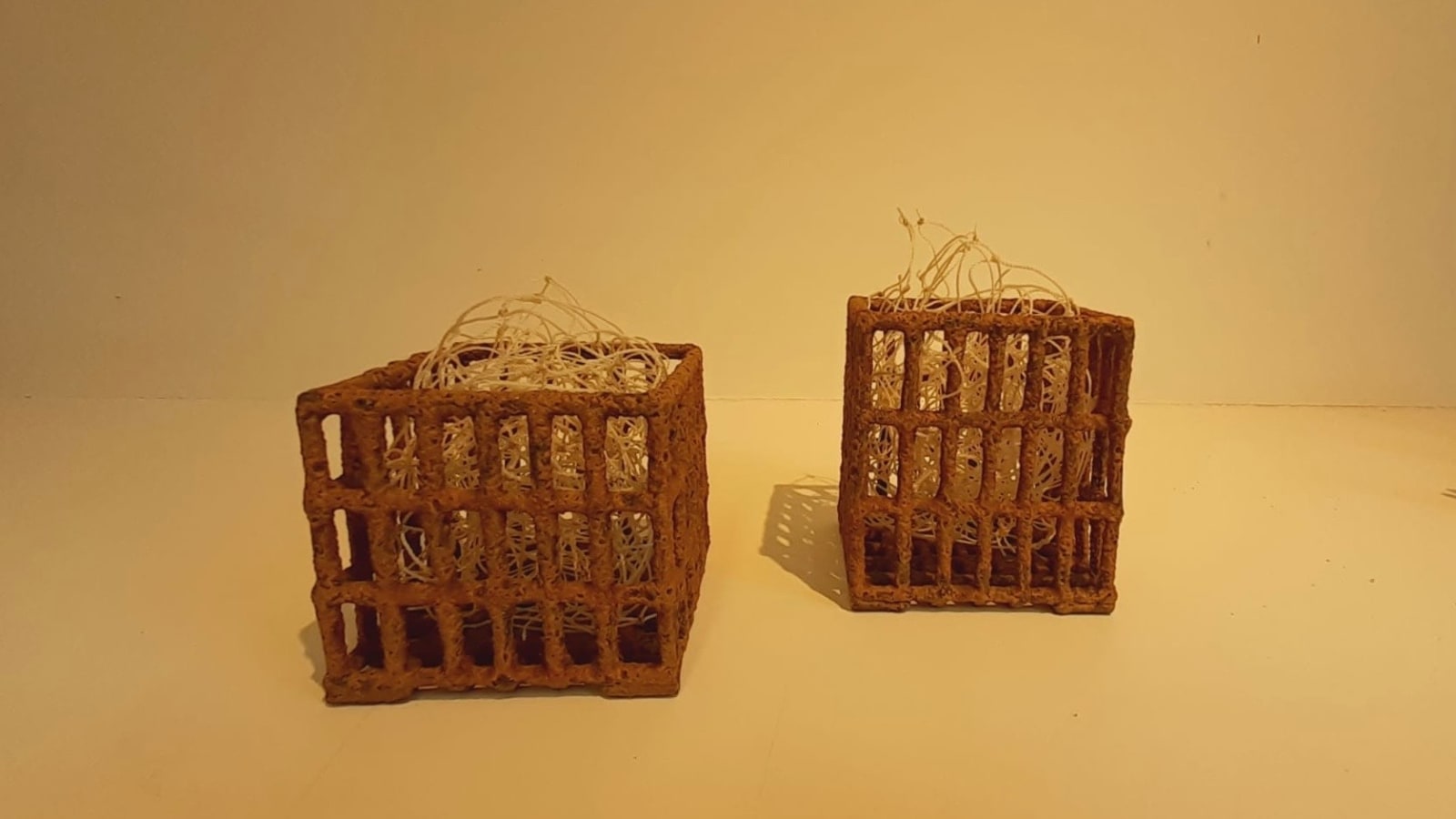 Annie Turner, Small Herring Net (Boxes), 2025
