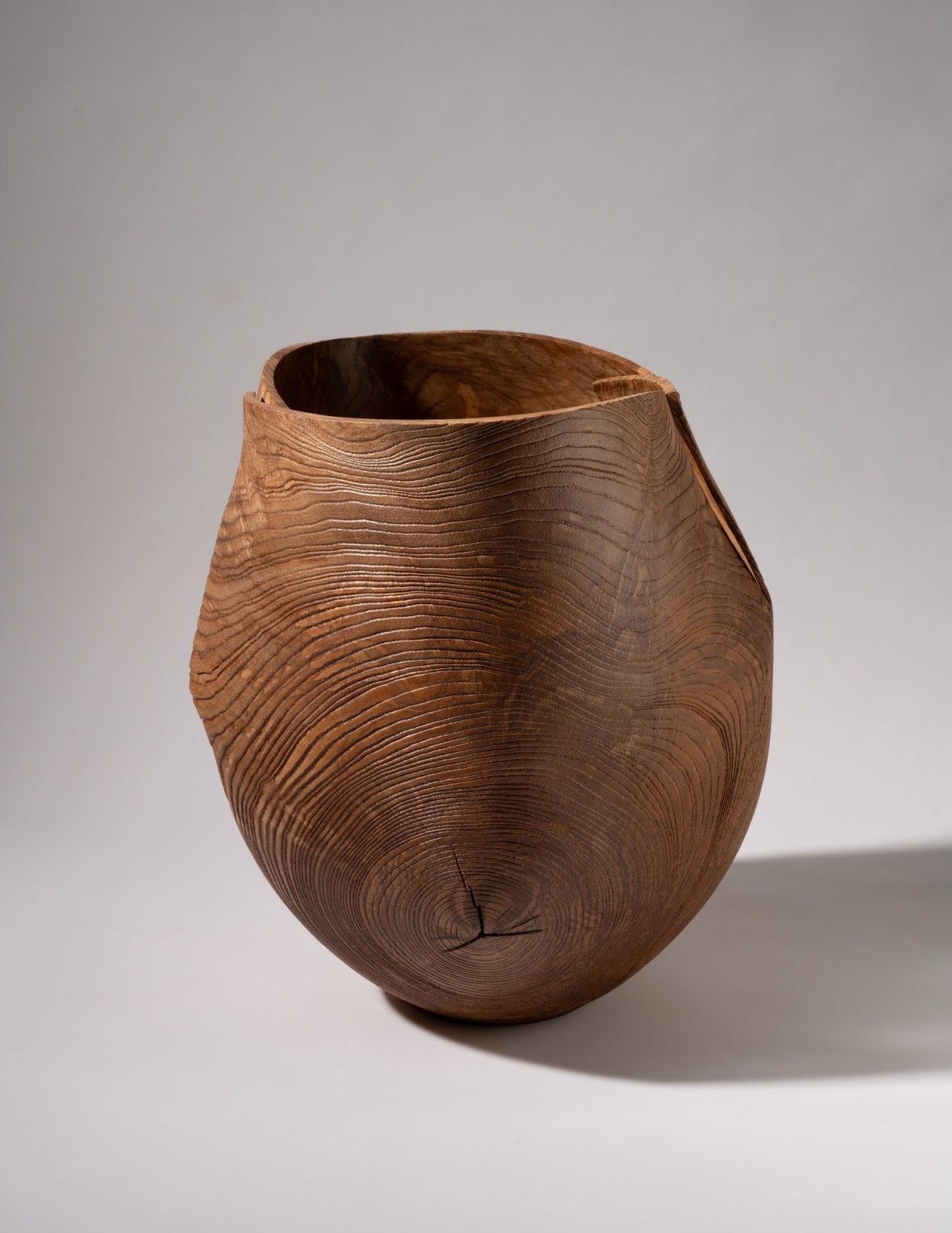 Alan Meredith, Fuinseog, 2025
