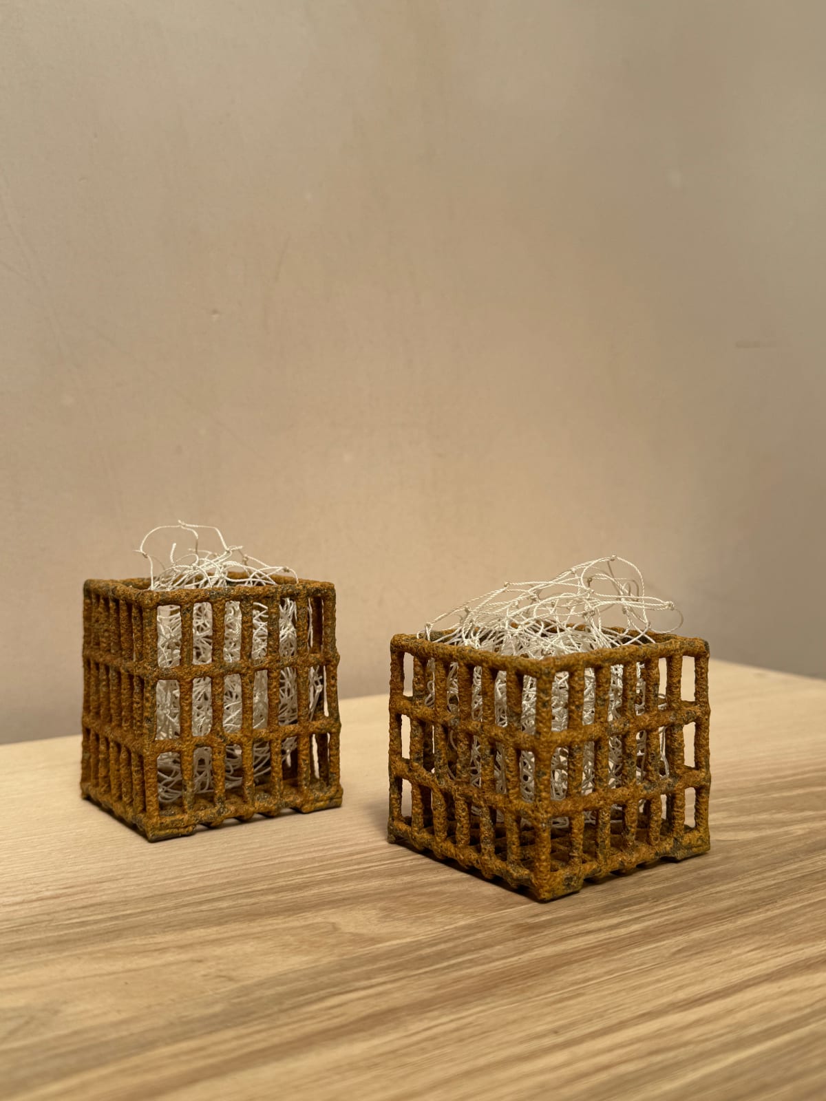 Annie Turner, Small Herring Net (Boxes), 2025