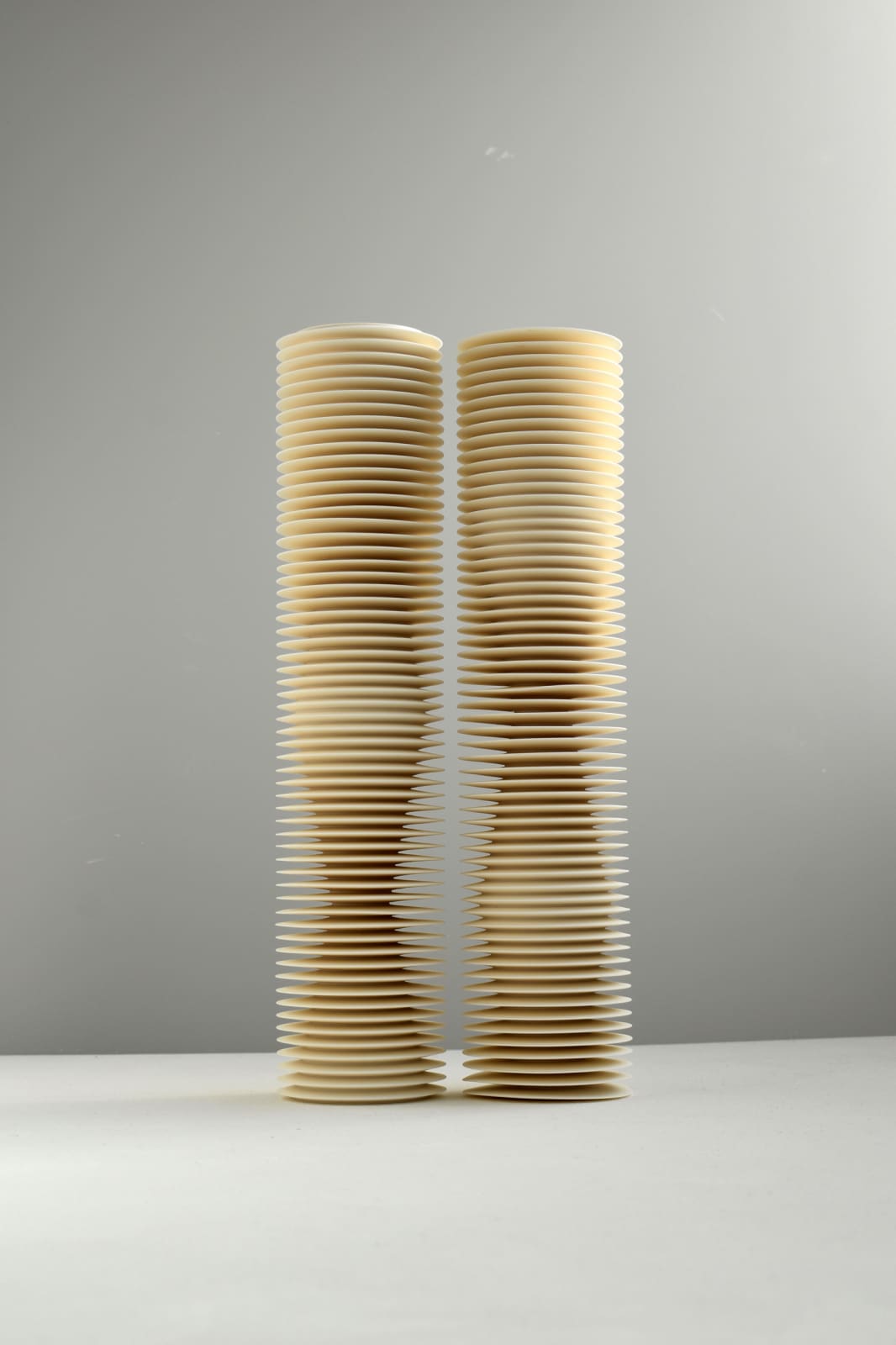 Nicholas Lees, Diptych 22.01, 2022
