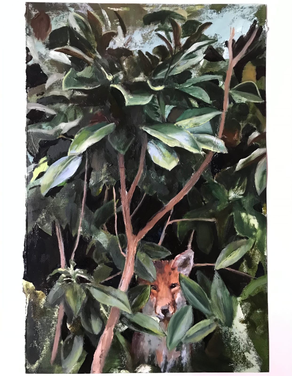 David Edmond, Flora A17 with Fox, 2022