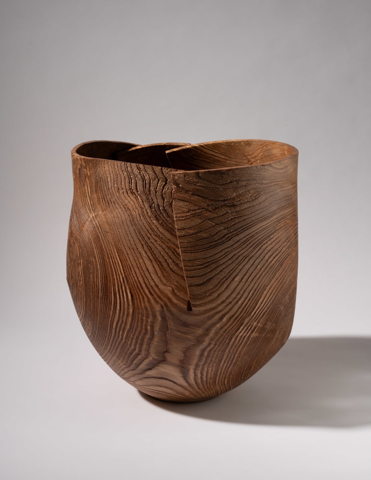 Alan Meredith, Fuinseog, 2025