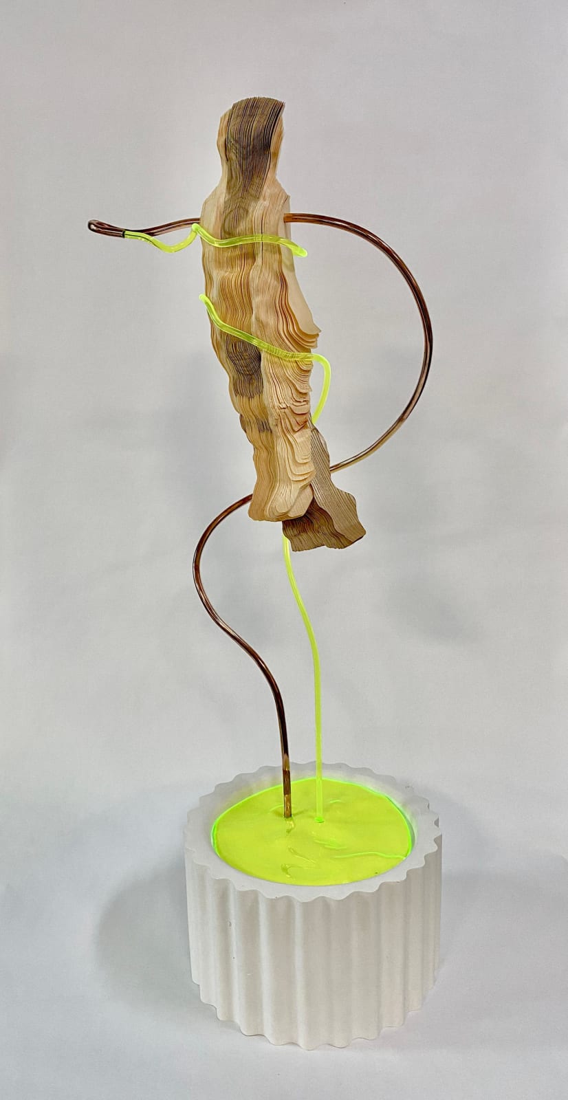KENG CHIEH-SHENG JASON 耿傑生, Body Data#8 身量#8, 2024