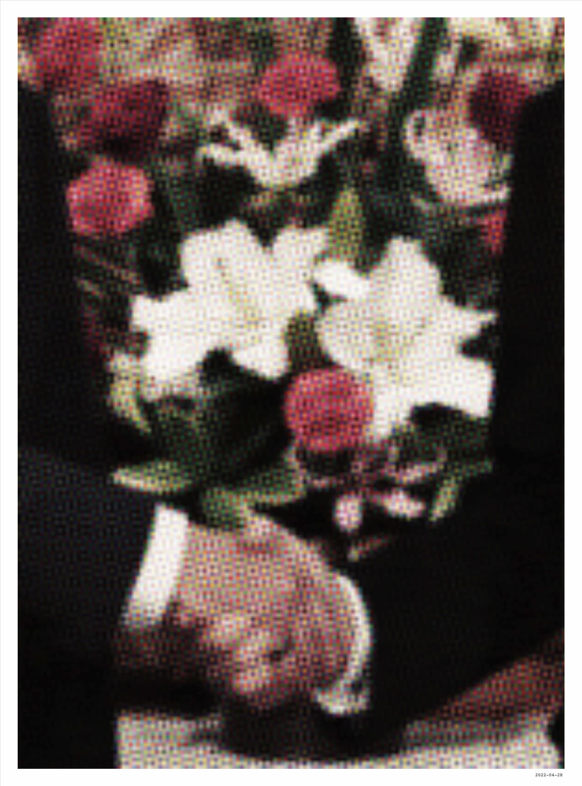 Jess Lau, Still Life - 2022-04-29, 2025