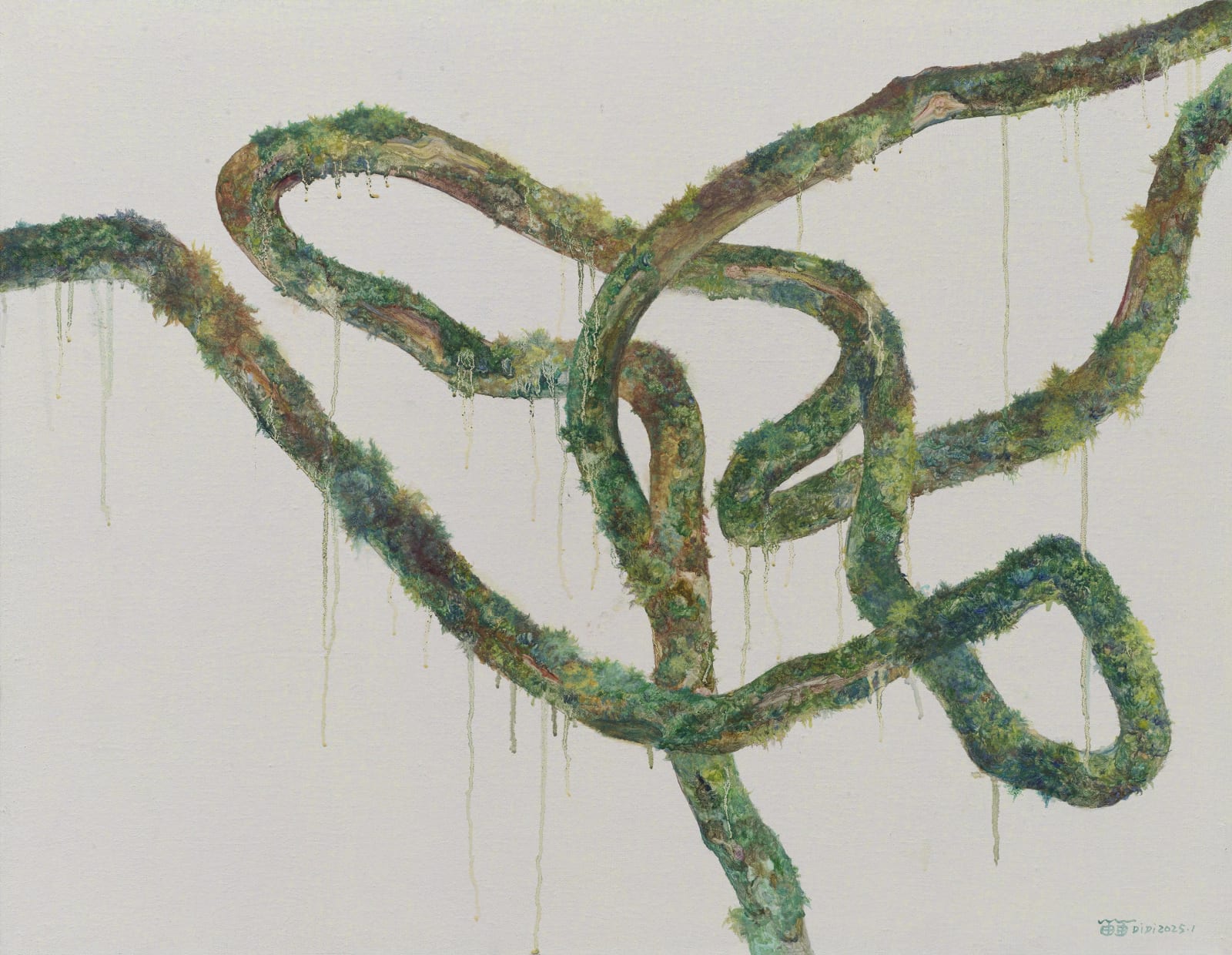 Wu Didi, Traverse 穿過行動, 2025