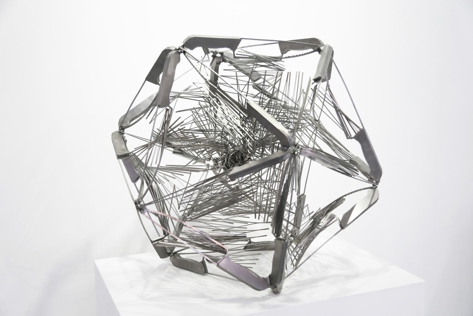 Li Hongbo, Bird, 2018