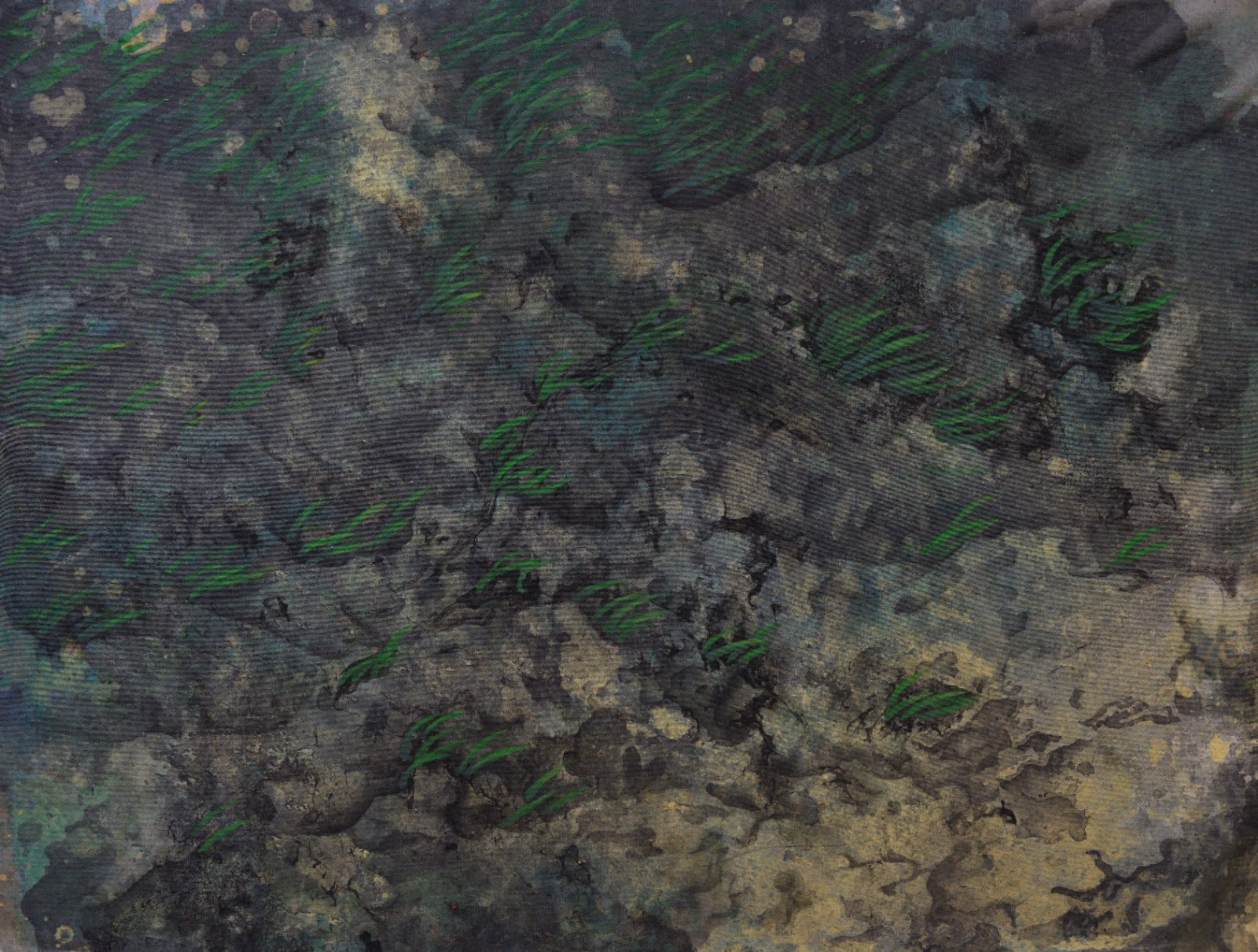 Kwong Man Chun, Aquatic grass.III 水草.III, 2023