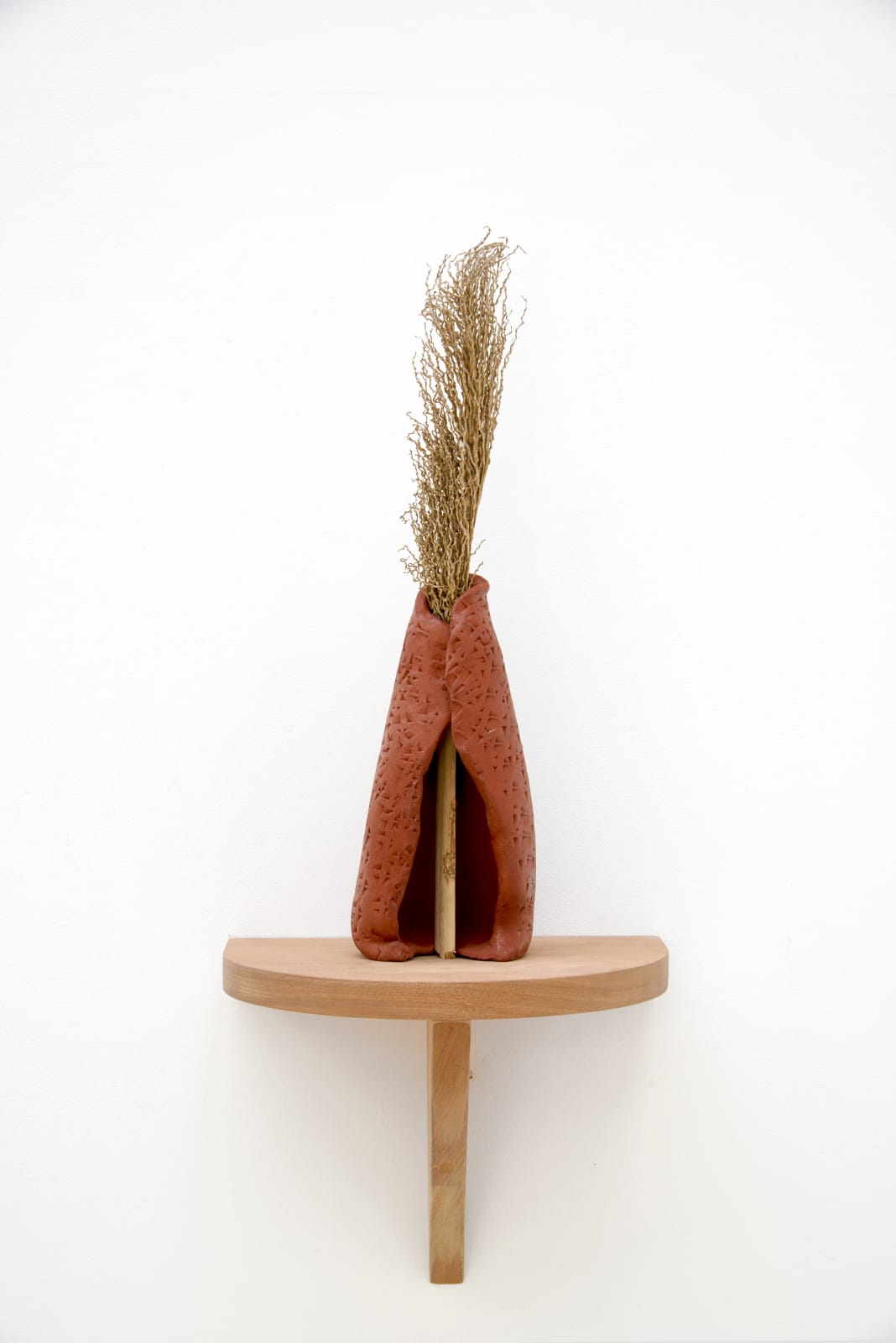 Lucía Pizzani, Manto Rojo, 2024